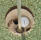 Costa Rica gold hole in one